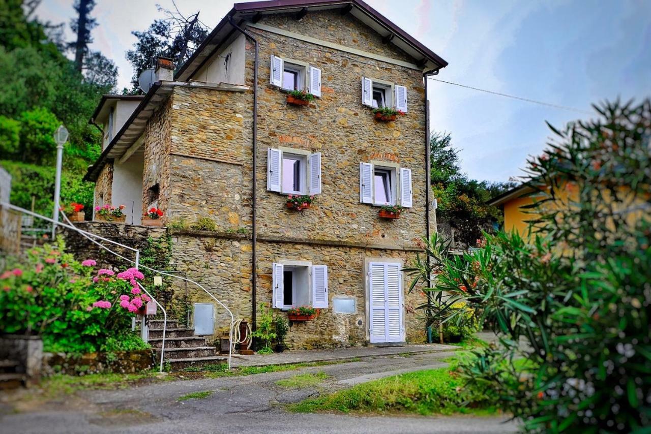 Hotel Pietrasanta Extérieur photo